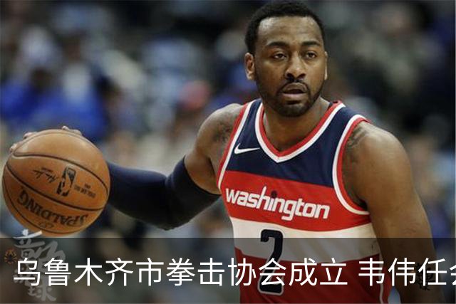 乌鲁木齐市拳击协会成立 韦伟任会长